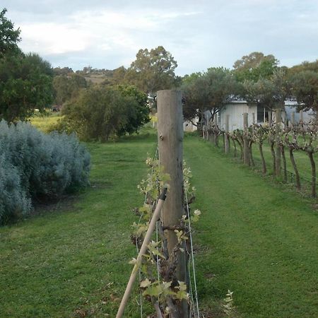 Southern Vales Bed & Breakfast Mclaren Vale Eksteriør billede