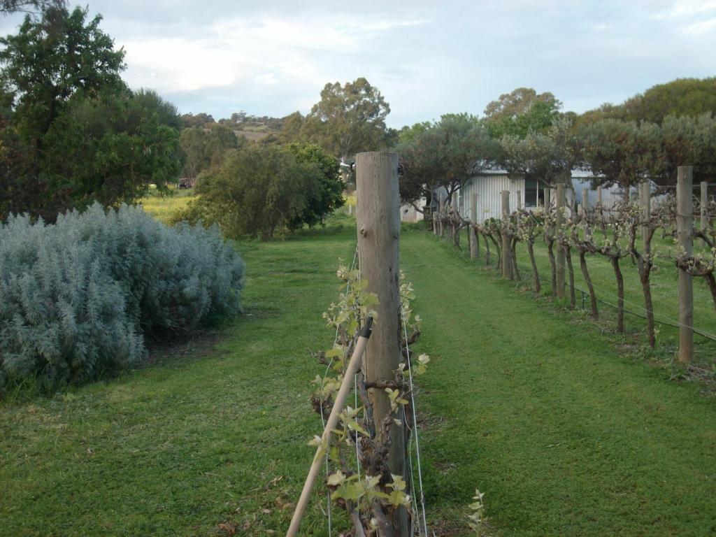 Southern Vales Bed & Breakfast Mclaren Vale Eksteriør billede
