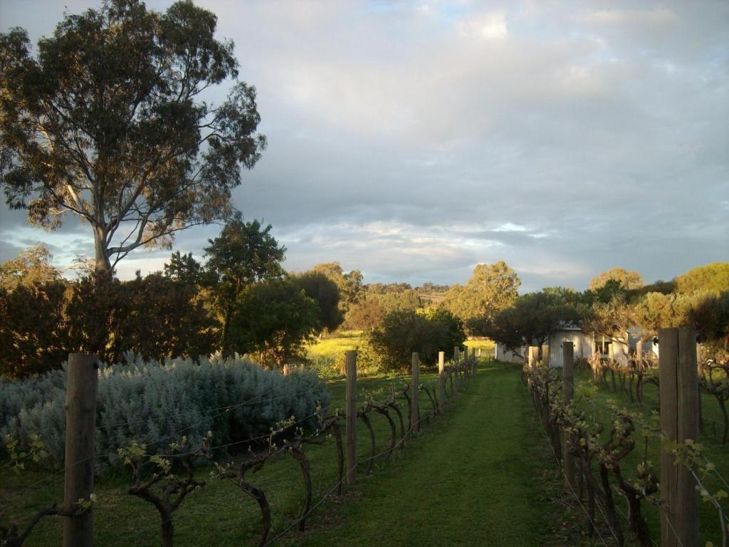 Southern Vales Bed & Breakfast Mclaren Vale Eksteriør billede