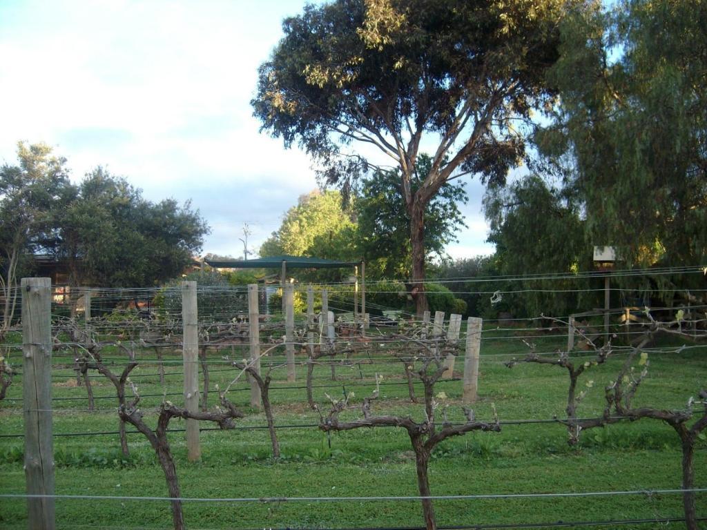 Southern Vales Bed & Breakfast Mclaren Vale Eksteriør billede